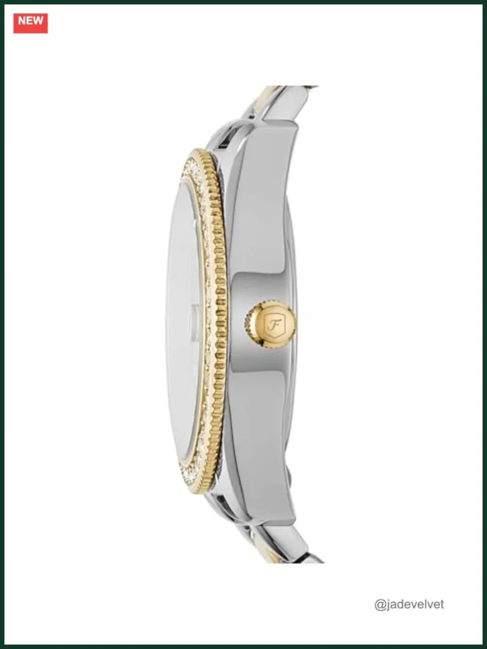 Fossil Women's Scarlette Quartz Stainless Steel Three-Hand Watch